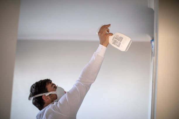 Best White Mold Remediation in Ilion, NY